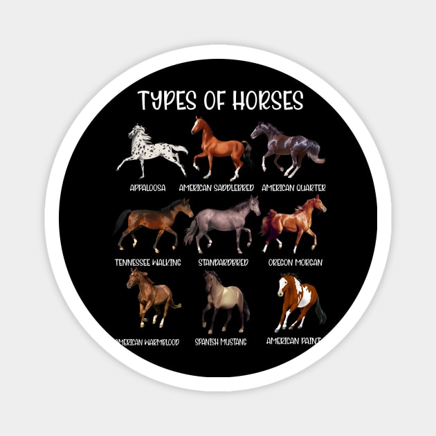 Types Of Horses, Horse Breed, Horseback Riding Magnet by marisamegan8av